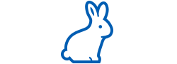 うさぎの診療