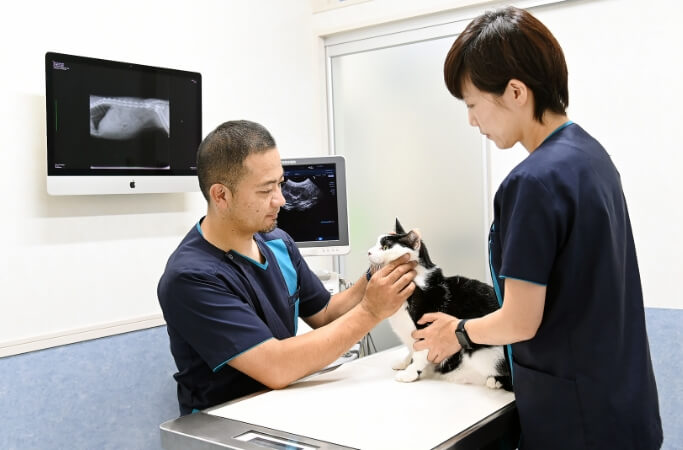 お悩みから探す診療項目